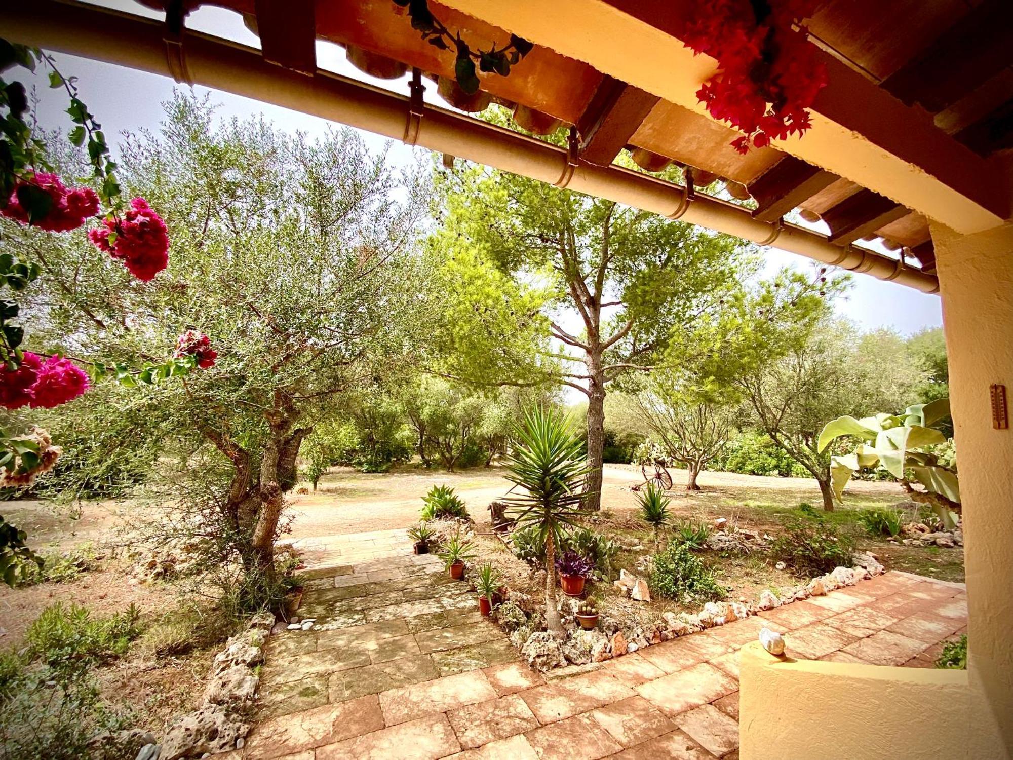 Casa De Estrella